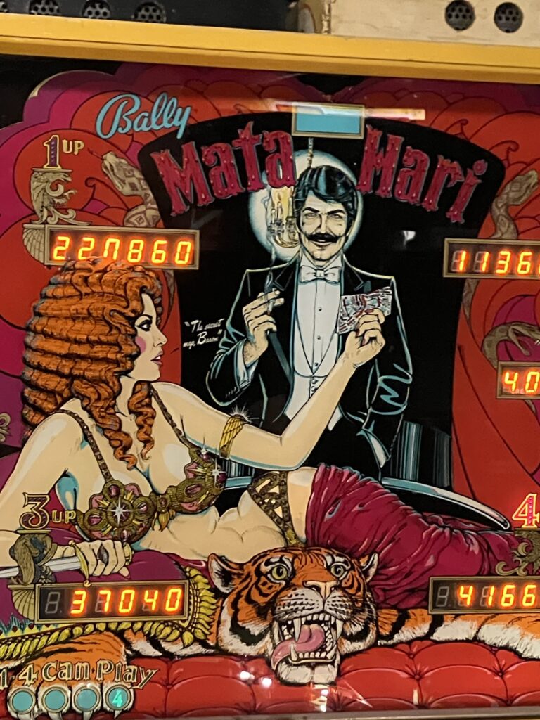 You can see a picture of a pinball machine. It shows a guy who looks like Dracula and a lady with very strange abs lying sideways in front of him.
