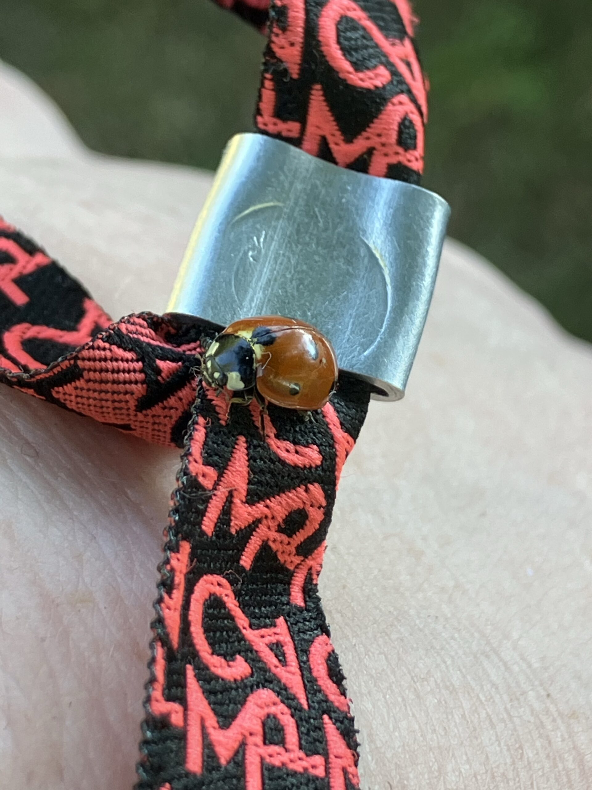 A ladybird sits on the clasp of a bracelet from the Chaos Communication Camp
